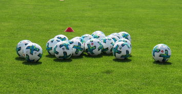 米兰体育官方网站APP下载-观战台_阿森纳冲击9连胜 拜仁PK药厂争开局15连胜，拜仁两回合10_2阿森纳